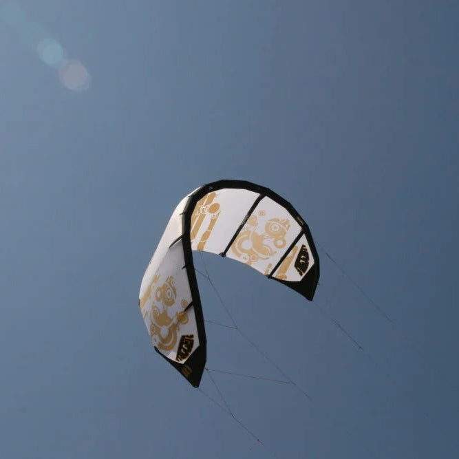 Bladder Blade Trigger 2009