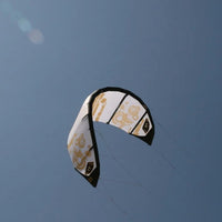 Bladder Blade Trigger 2009