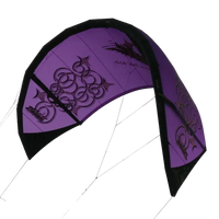 Bladder Blade Vertigo 2009