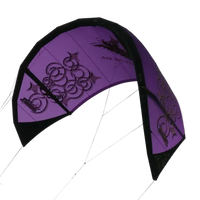 Bladder Blade Vertigo 2011