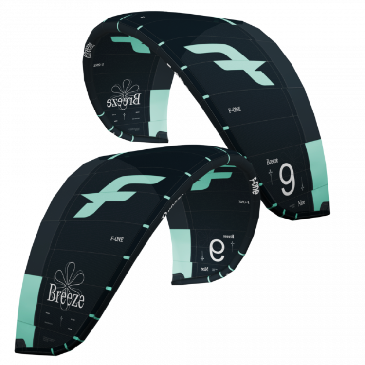 Bladder Fone Breeze V5 2024