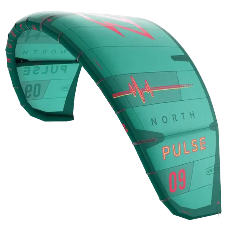 Bladder North Pulse 2020
