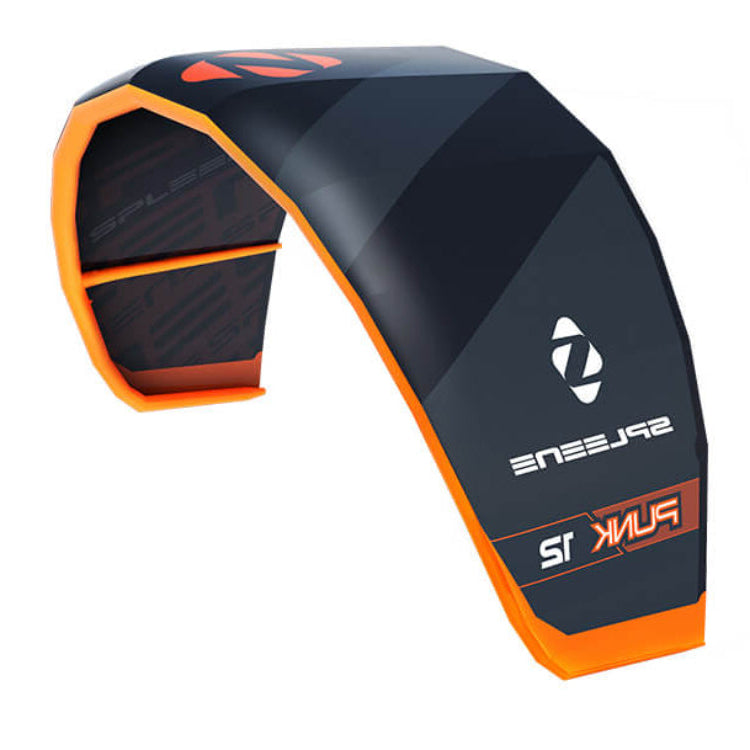 Bladder Spleene Punk 2020