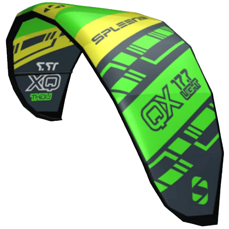 Bladder Spleene Qx V1